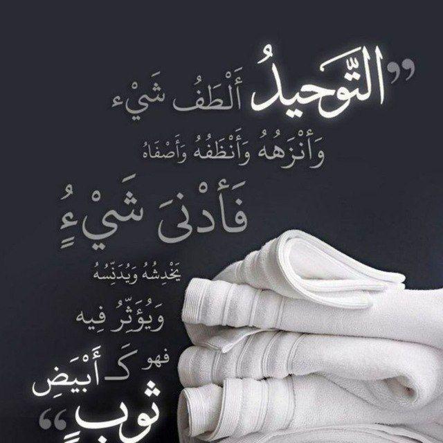 أبو معاوية الكردي _ نقد سلفي