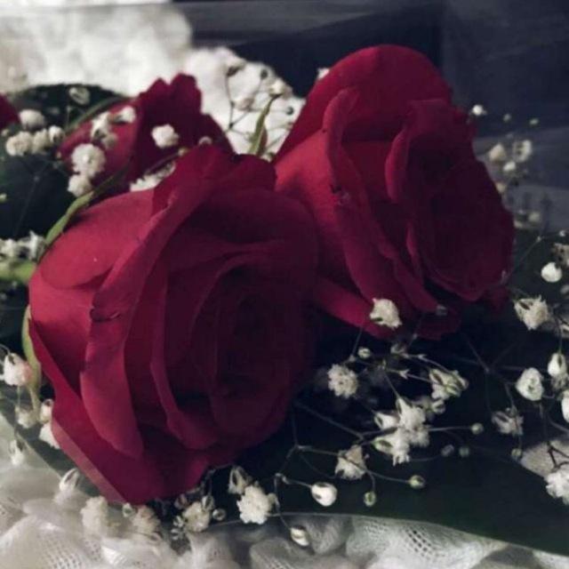 عبارات قصيرة