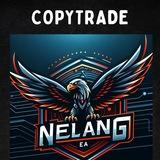 NelangEA 2025