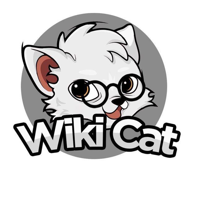 Wiki Cat | WKC