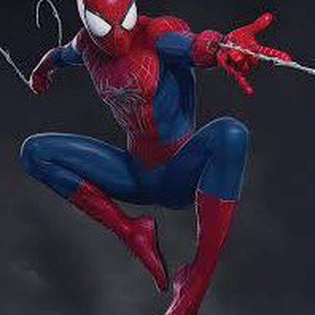spider tips
