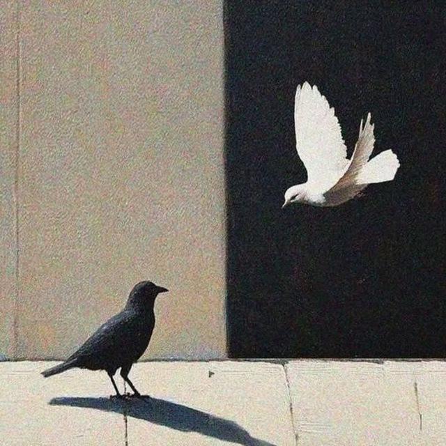 نفسٌ توّاقة 𓂆