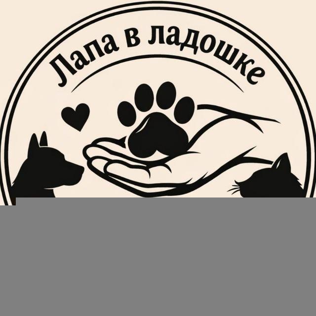 Лапа в ладошке