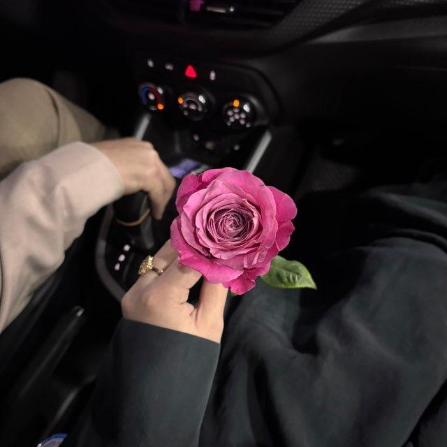 مع حفصة