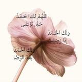 بَـلسَم 🕊️'