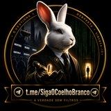 Coelho Branco🐰✨