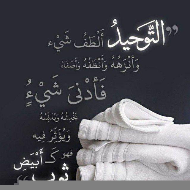 أبو بكر _ نقد سلفي
