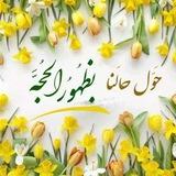 ﴿المهديّ نورَ الحُسينْ﴾