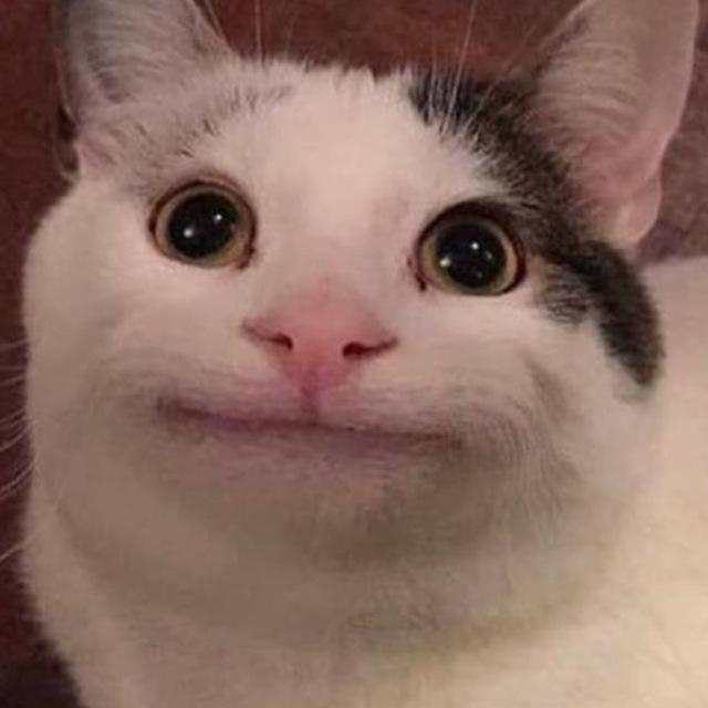 PωSSY₊˚ꜱʜᴇʀ