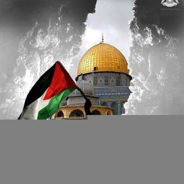ڪل أثـرٍ جميــل 💭