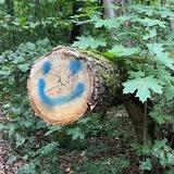 Кабінет географії