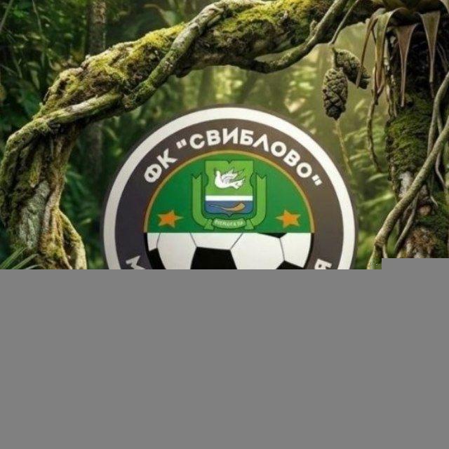 ФК СВИБЛОВО 2010