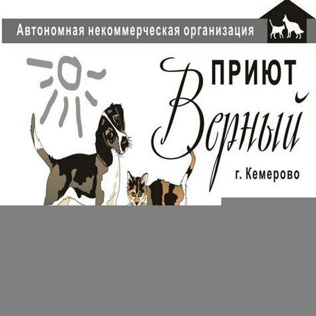 Приют для бездомных животных "Верный" г.Кемерово