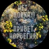 Hei, Norway! 🏕️ Привет, Норвегия!
