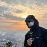 黑马 美国双向短信/全球卡发机房