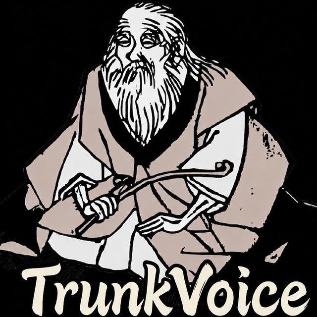 Trunk-voice.com Sms Marketing Plateform