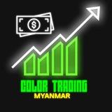 Color Trading Mm