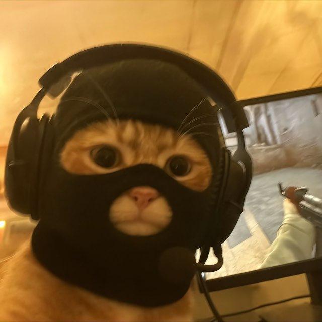 AOV Cheat lỏ Chat