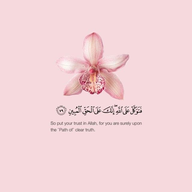 مُحـمَّد ولا غَالِبَ إلّا اللـه.