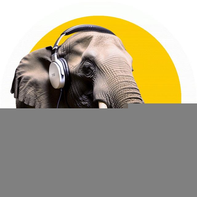 Ken LaCorte: Elephants in Rooms