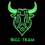 BULL TEAM OTZYWLAR