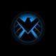 Shield current affairs