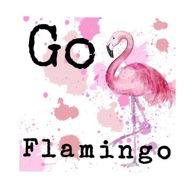 Go flamingo🖤