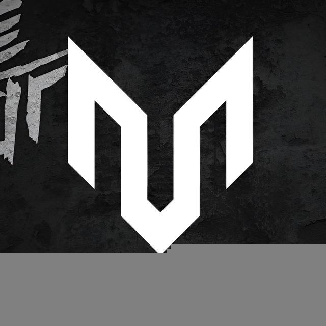 MODERN_ORG.👑