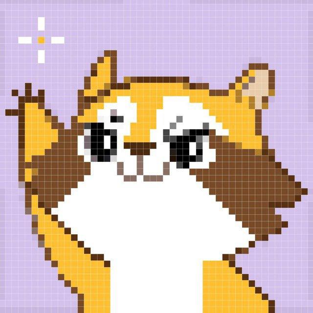 Raccoon Degen Verify