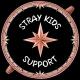 Support | Stray Kids