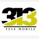 TM313🇸🇳/ Informations senegalaise