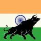 NSE STOCK PRO (PROFIT EVERYDAY)