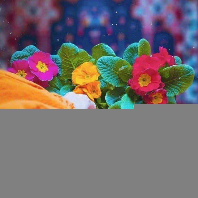 تَـمَـنـــآ🌿