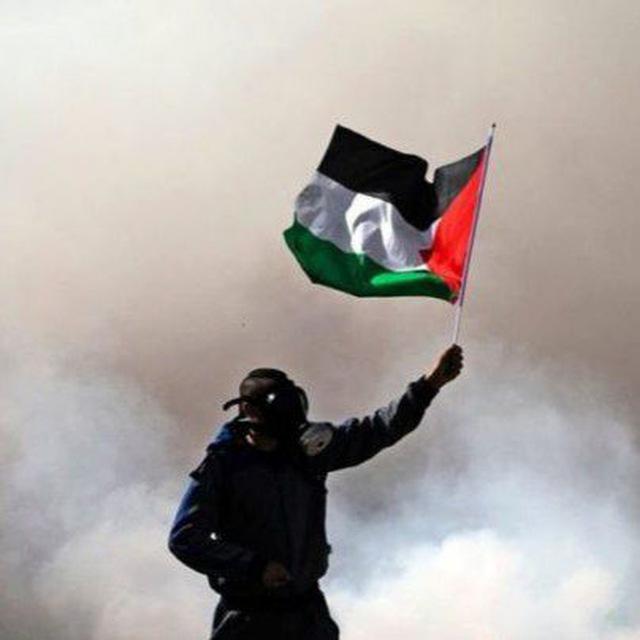 Informasi palestine 🇵🇸