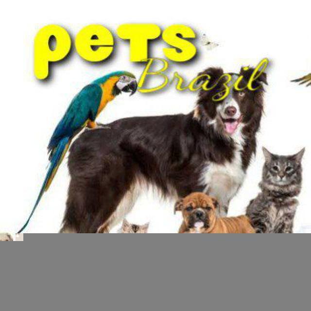 🐶Ⓟⓔⓣⓢ ​ Ⓑⓡⓐⓩⓘⓛ😻