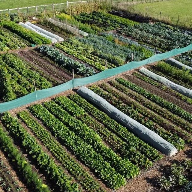Living Soil Gardening
