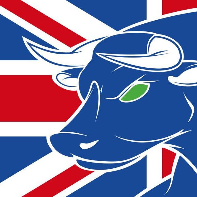 BrumFurs Updates