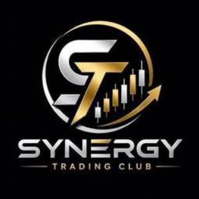 SYNERGY FX HUB