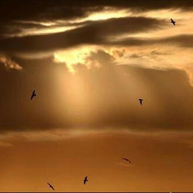 ظهور دروغين