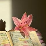 النُــــور𝜗