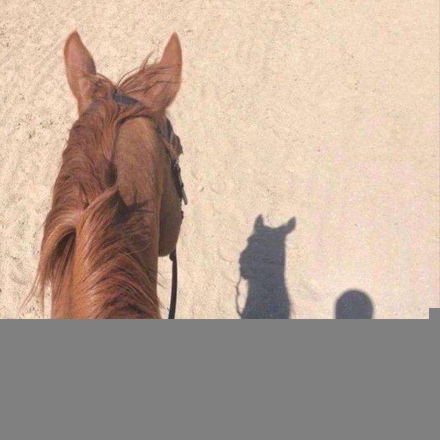 قرأني. قصيده.