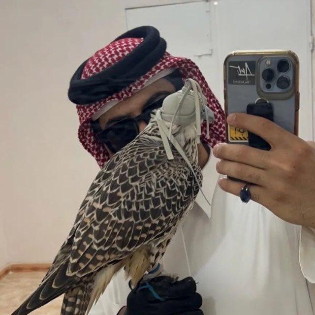 𝐘