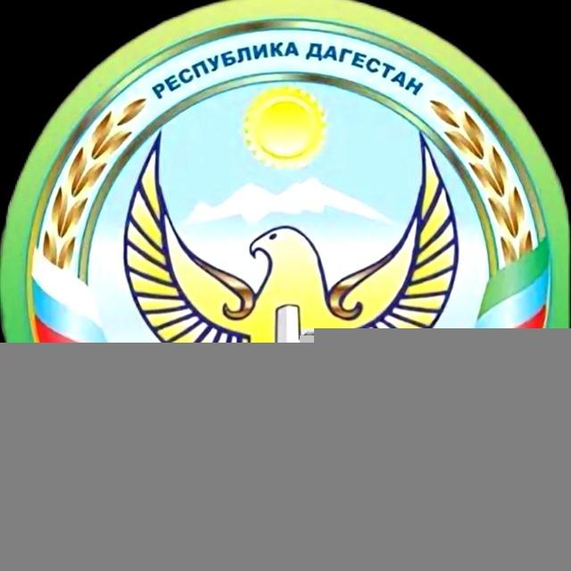 Администрация МО «Шамильский район»