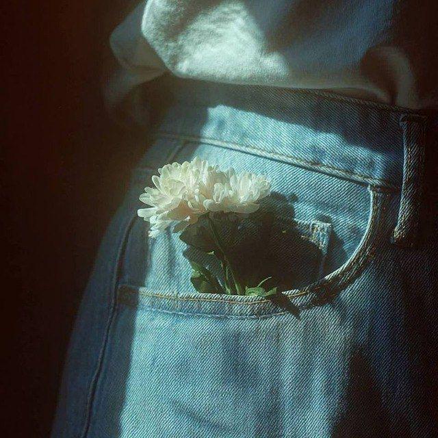 سرزمین خرمالو‌های گَس