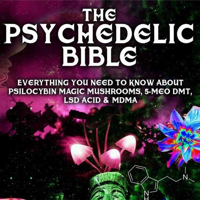 🍄 Psychedelic Trip Guide 🧩