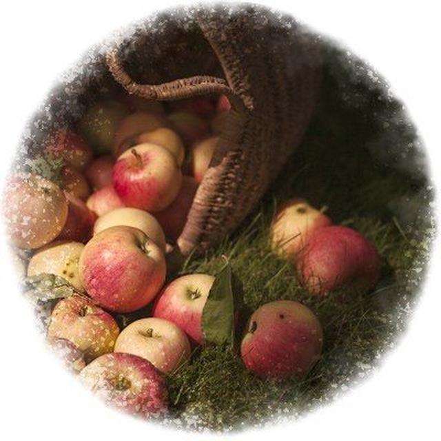 Цветущий Сад Идунн🌿