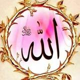 🌷کانال به یاد اللهﷻ🌷