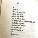 Punjabi Quotes