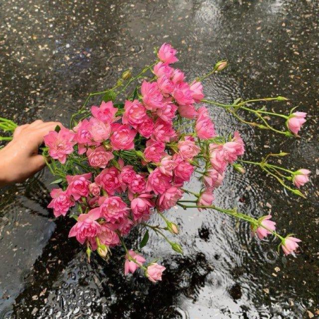 ﮼گروپی،ڕیڪلام🦋.
