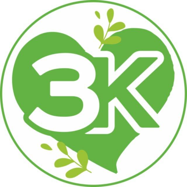 Зеленые каникулы Детские лагеря